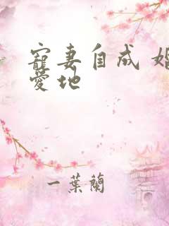 宠妻自成 婚天爱地