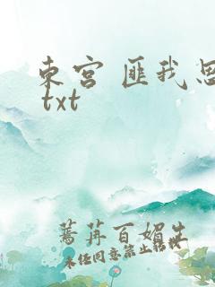 东宫 匪我思存 txt