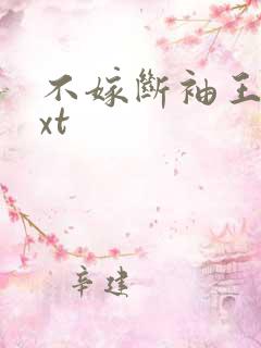 不嫁断袖王爷txt