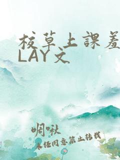 校草上课羞耻PLAY文