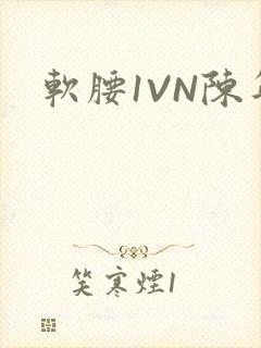 软腰1VN陈年
