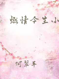 燃情今生小说