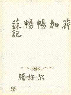 苏畅畅加薪奋斗记