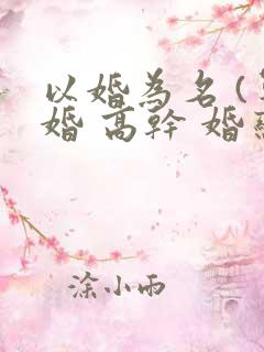 以婚为名 (军婚 高干 婚恋)