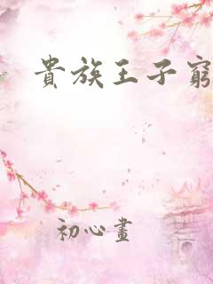 贵族王子穷公主