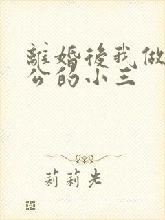 离婚后我做了老公的小三