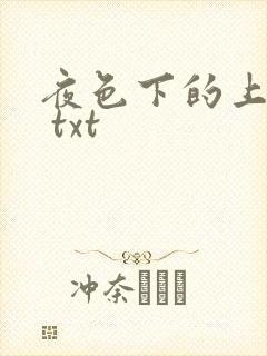 夜色下的上海滩 txt