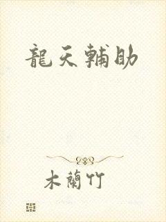 龙天辅助