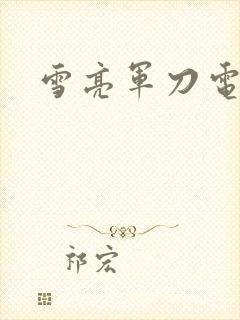 雪亮军刀电视剧