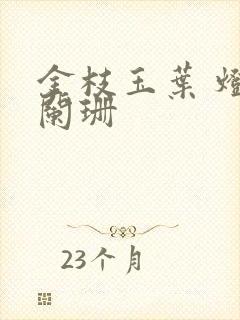 金枝玉叶 灯火阑珊