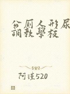 公厕人形尿便器调教学校