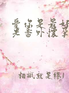 爱你是最好的时光番外怀孕