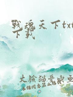 战魂天下txt下载