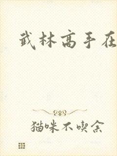 武林高手在官场