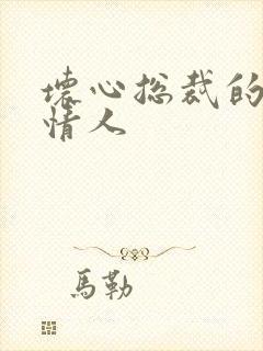 坏心总裁的女佣情人