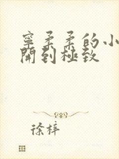 宁柔柔的小泬撑开到极致