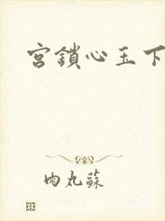 宫锁心玉下载