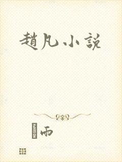 赵凡小说