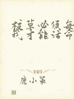 校草必须每天吸我才能活命[穿书]