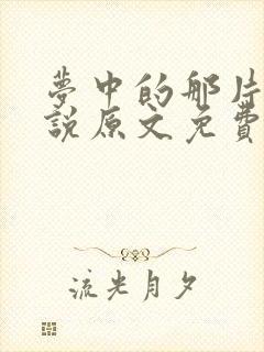 梦中的那片海小说原文免费阅读