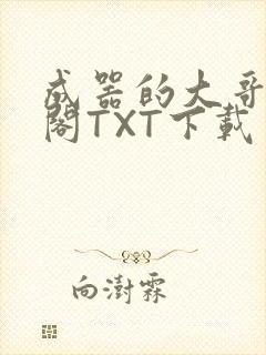 成器的大哥笔趣阁TXT下载