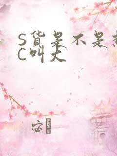 S货是不是想挨C叫大