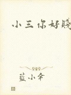 小三你好贱下载