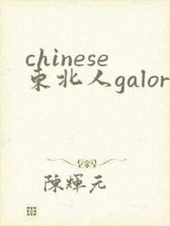 chinese东北人galore
