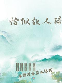 恰似故人归小说