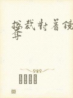 总裁对着镜子掠夺