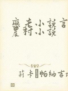 恋老小说言情网农村小说