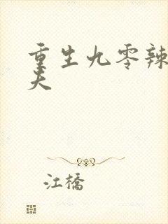 重生九零辣妻撩夫