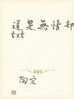 道是无情却有情txt