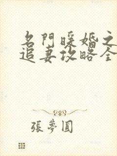 名门暖婚之权爷追妻攻略全文免费阅读