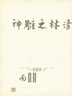 神雕之林清传
