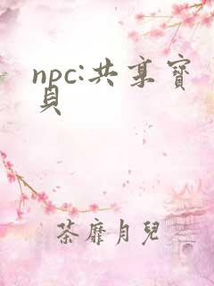 npc:共享宝贝