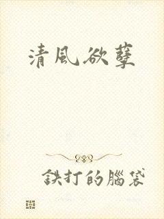 清风欲孽