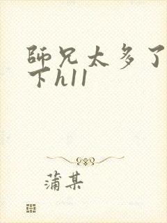 师兄太多了装不下h11