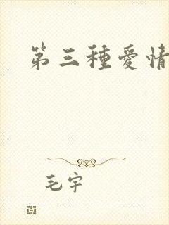 第三种爱情续集