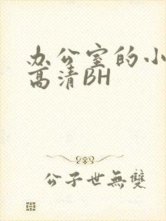 办公室的小秘书高清BH