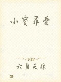 小宝寻爱