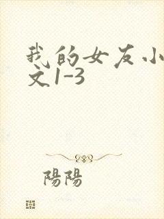 我的女友小洁全文1-3