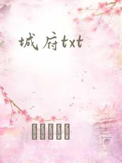 城府txt