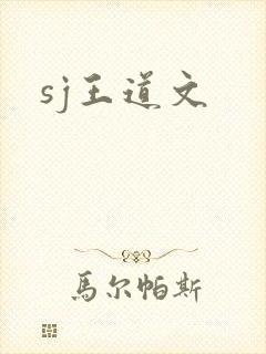 sj王道文