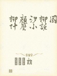 柳颜汐柳国安是什么小说