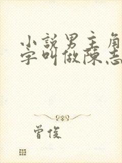 小说男主角的名字叫做陈志远