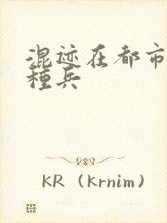 混迹在都市的特种兵