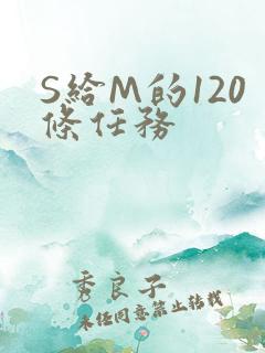 S给M的120条任务