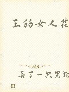 王的女人花倾国