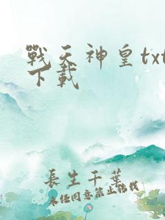 战天神皇txt下载